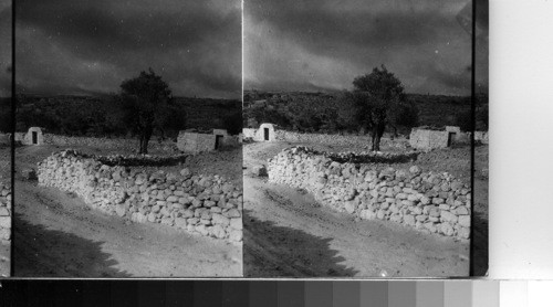 General view on Mount of Olives, Palestine