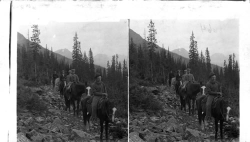 Canada. Mt. Saddleback. Laggan. Alberta, Can