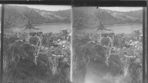 In the pretty garden of Hamburg-American Lines coaling station, St. Thomas, Virgin Islands