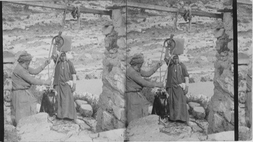 Drawing Water from a Well, Palestine