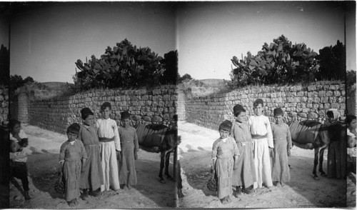 Some Boys of Nazareth, Palestine