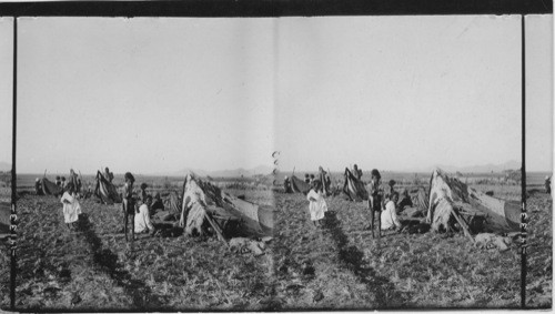 Starving natives, near Bandora, India