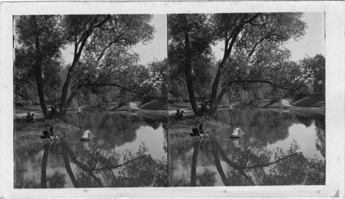 Vista and Reflections, Lagoon, Lincoln Park, Chicago, Ill