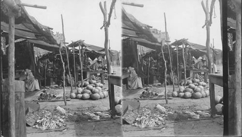 Market Scene at Atamaca, near Tampico, Mexico