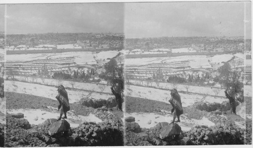 Modern Jerusalem. Palestine