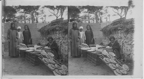 Bread Seller, Cairo