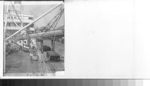 Loading Coffee on Ship, Santos, Brazil