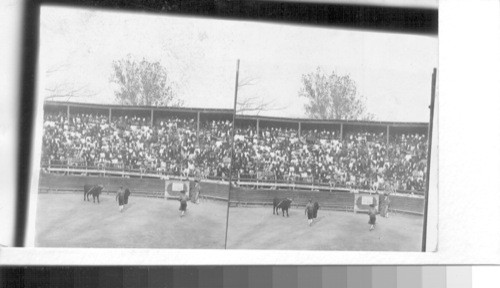 The favorite sport in Mexico - Bullfight and crowed of spectators on a public holiday. Mexico