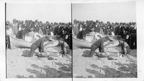 Reviving an unfortunate swimmer, Coney Island. New York