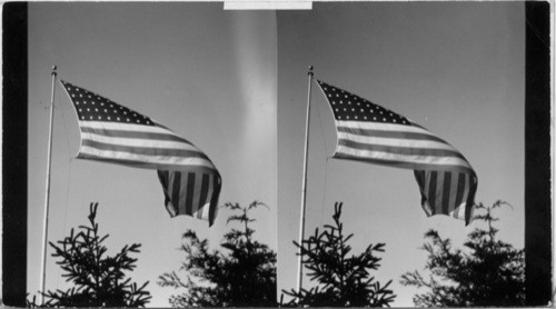 The States Bldg. Flag, Century of Progress