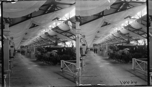 Grand Exhibition, Municipal Pier, Chicago