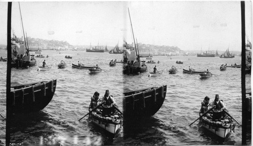 The Harbor, Constantinople, Turkey