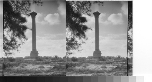 Pompeii's Pillar, Alexandria, Egypt. A shrine of tourists - commemorating Christianties triumph of A.D. 391. Alexandria