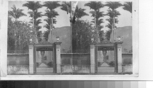 Avenue of Palms, Botanical Gardens, Rio de Janeiro, Brazil