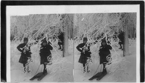 Childhood sports amidst winter's splendors, Prospect Park, Niagara Falls, N.Y. - U.S.A