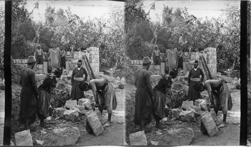 Stone Mason’s at Work, Palestine