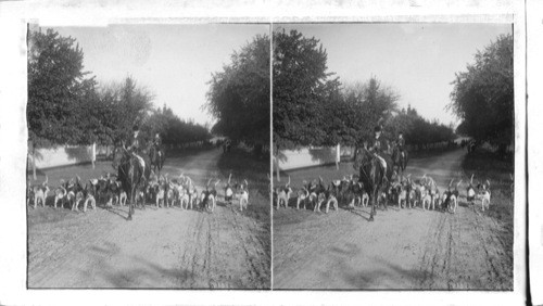 Horsemen and Hounds. Meadowbrook. Long Island. N.Y