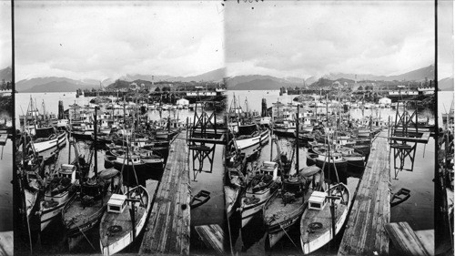 Part of the fishing fleet in from a trip at Prince Rupert. B.C