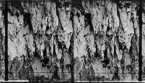 Beautiful Stalactite Formation in a cave near Hamilton, Bermuda