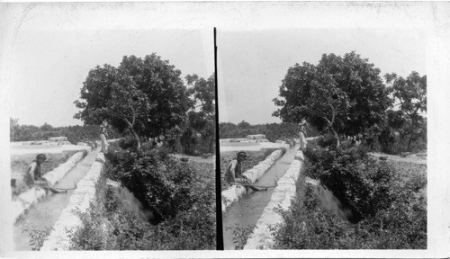 Aqueduct from ancient reservoirs of Hiram, king of Tyre, Syria