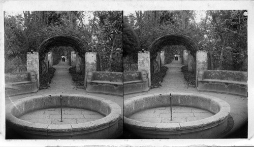 Green Tunnel, Private Grounds, Oaxaca, Mexico