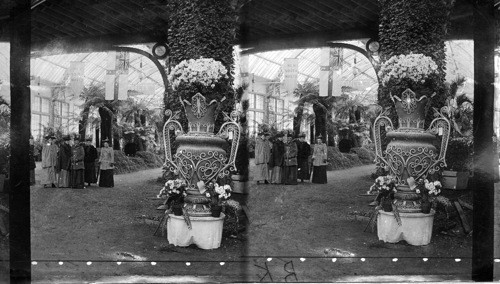 New South Wales Exhibit, Horticultural Hall, Columbian Exposition