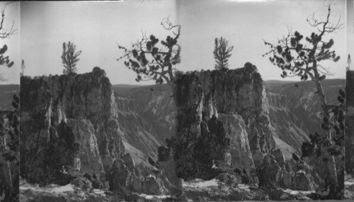 Grand Canyon from Inspiration Point, Yellowstone National Park