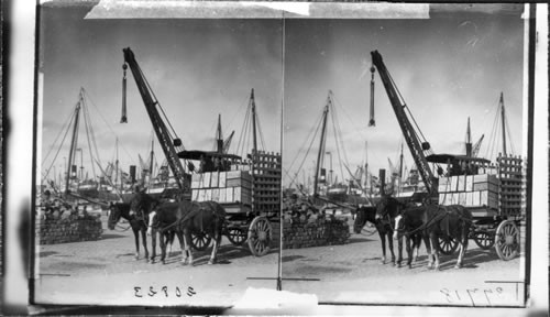 A Busy Scene at the Docks, Montevideo, Uruguay