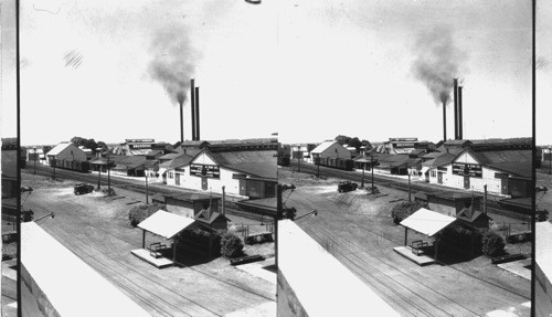 Canning Factory, Bridgeville, Delaware