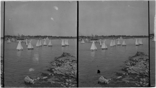 Start of Marblehead Oars, Corinthian Y.C. [Yacht Club] Race, Mass