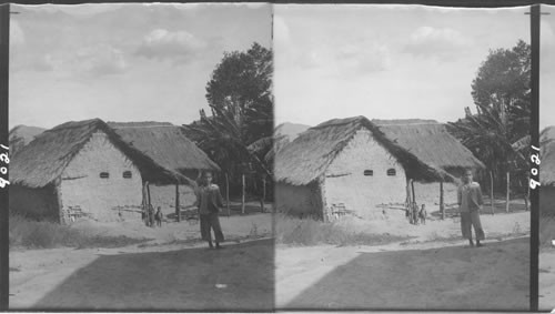 Native Venezuelan Thatched Huts, Venezuela