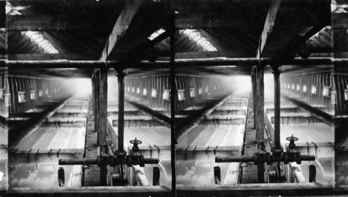 "Grainers" (Open Vats) in which brine (water pumped into bottom of salt wells which is pumped up again mixed with the salt) is evaporated by steam (steam goes thru pipes seen under brine) & the salt floats & is carried on toward further end where rakes and & aprons are. (See #2) Salt Vats Where Water Is Evaporated by Steam, Ithaca, N.Y