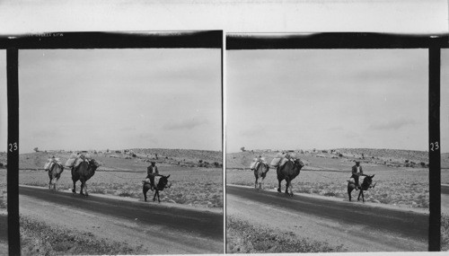 23 In the southern foothills of the Taurus mountains. Traffic scene