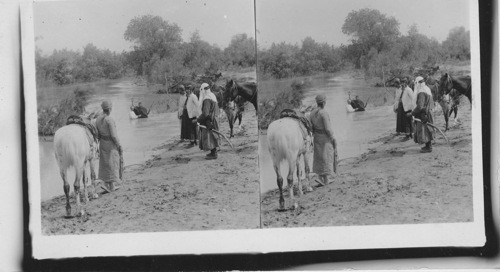 Baptizing in the Jordan. Palestine. Asia