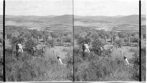 Samaria. Palestine. Asia