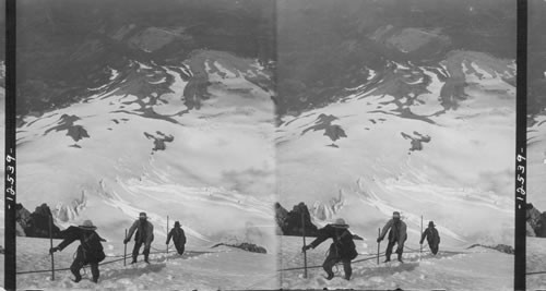 Ascending the upper slopes to Mt. Hood - looking down 5,000 ft. to Timberline