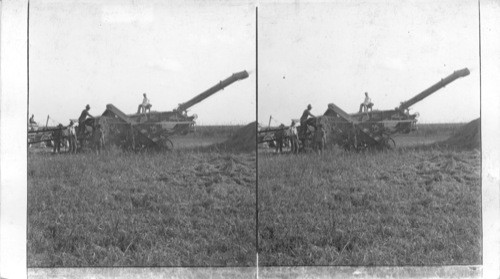 Texas. Threshing Rice