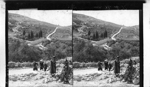 The lower road to Bethany southeast from Jerusalem. Palestine