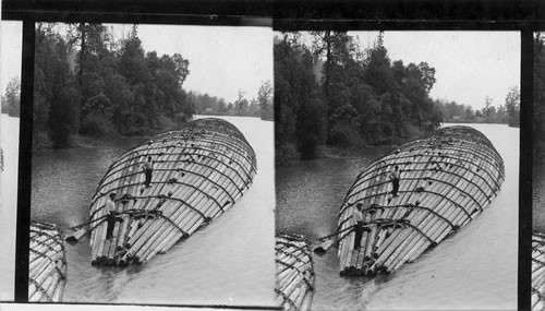 Largest log raft ever built contains 65,000 logs each 125 ft. long. Columbia River, Washington