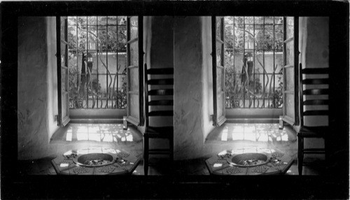 #10 - Pres. Palace, San Antonio, TX. We are now in the Queen's Bedroom. This room is very small only having room for the bed, one chair and the coke stone which you see at your feet. You can imagine the stuffiness of this room as the window you are looking through was the only outside opening and it opened into the stable. There are three doors to this room. One opened into the small patio. This was an outside door but was locked at night . One door opened into the music room and the other into the councal [council?] room which is to your back. P.S. The plant at the window is a centory [century?] E.L. Bowers