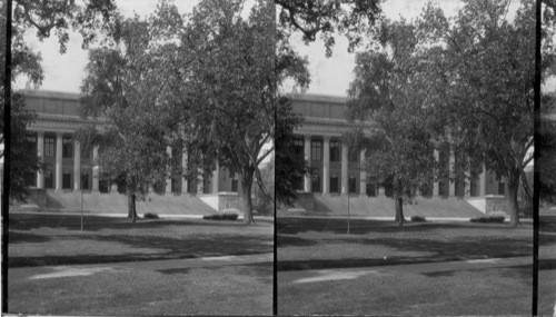 Harvard Library, East Side, Boston, Cambridge, Mass