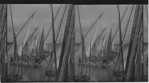 Arab Boats on the Nile waiting for the opening of the Bridge, Cairo, Egypt