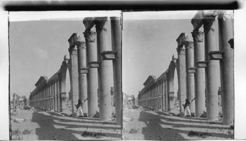 Mighty ruins of Great Colonnade which ran through Zenobia’s City, Palmyra, Syria