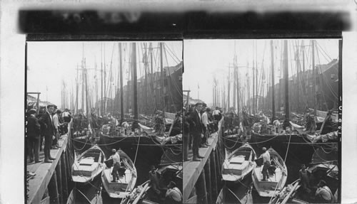 Scene among the fishing boat. T. Wharf. Boston