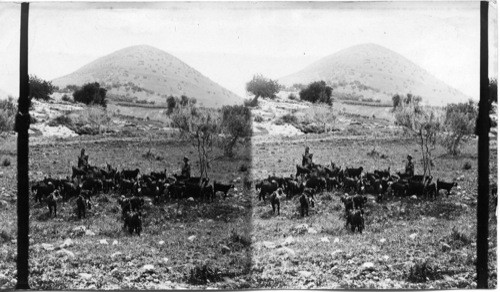 Mount Tabor Palestine