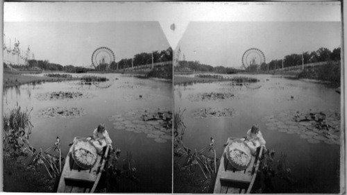 Water Scene and Ferris Wheel in Exposition Park. St. Louis World's Fair, Missouri