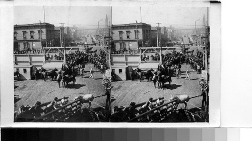 Loading mules for China, San Francisco, Calif. This subject is in the "out of stock" file of neg