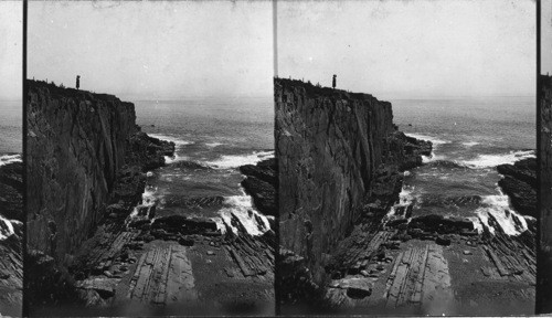 Sea Wall, Bald Head Cliff, from above, Me