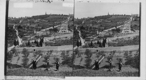 Garden of Gethsemane and Mount of Olives, from the Eastern Wall- Jerusalem. Palestine. Asia