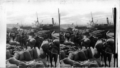 Smyrna’s busy waterfront, with shipping and mountains background. Asiatic Turkey. Bibical Asia Minor